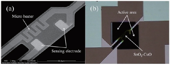 (a) Close-up view of a micro heater and a sensing electrode and (b) photograph of a bridge-type membrane and an active area.