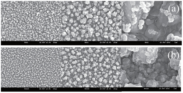 SEM photographs of SnO2-CuO sensing film (a) one-layer film and (b) five-layer film.
