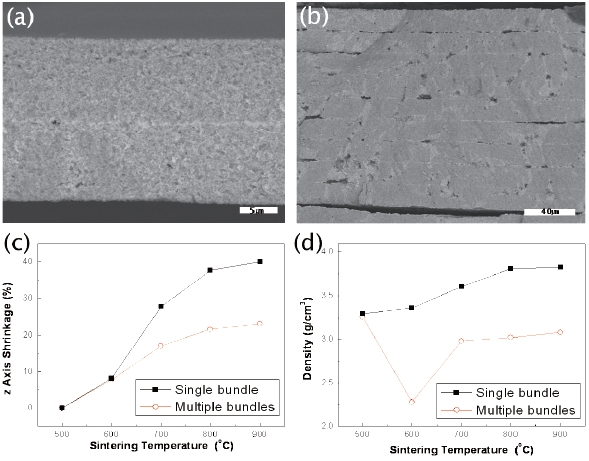 SEM images and infiltration behavior of Al2O3/glass/Al2O3 substrates sintered at 900℃; (a) for a single bundle, (b) for multiple bundles in a substrate, (c) z-axial shrinkage of the substrate, and (d) sintered density.