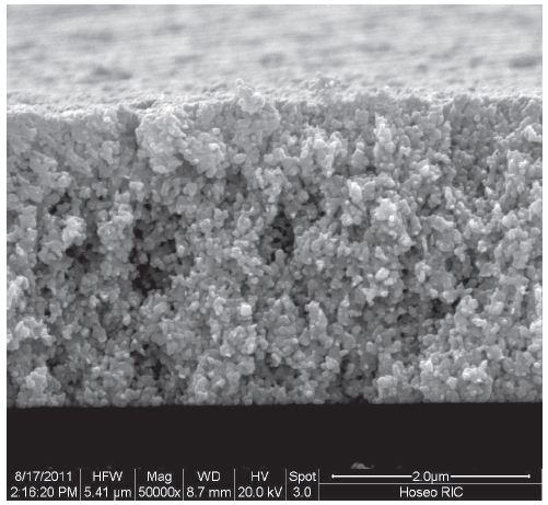 SEM image of the screen printed electrode of 4 μm thickness(cross-sectional view of PA-10 nanoparticle).