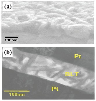 Microstructure of the physical vapor deposition-BLT thin film: (a) scanning electron microscope image of the BLT surface (b) cross-sectional transmission electron microscope image of the BLT capacitor.BLT: (BiLa)4Ti3O12.