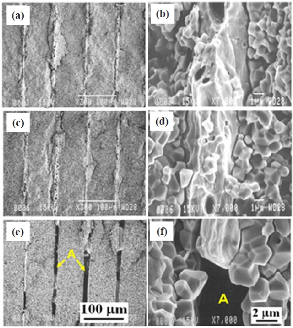 The fractured cross-sectional micrographs of 0.1 wt% Li2CO3 added PMN-PFN-PZT/Ag MLAs co-fired at different temperatures for 5 hours. The sintering temperature was 850℃ for (a) and (b) 900℃ for (c) and (d) and 950℃ for (e) and (f ) respectively.