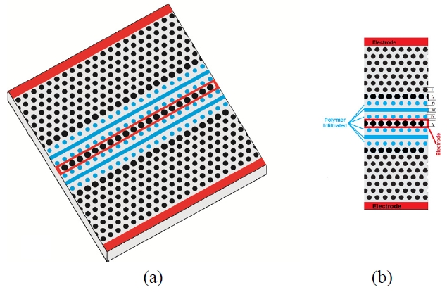 (a) 3D geometry of the electro-optic slotted photonic crystal switch implemented on SOI. The slots and the innermost rows of holes are infiltrated with polymer and the radii of the innermost rows of the holes are modified. (b) top view of the device introducing the structure parameters.
