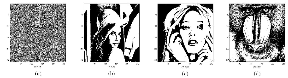 A binary pattern for computer simulations (256×256 pixels): (a) a binary bit code (a random generated code) as a common key, (b) a binary image (Girl1) as a secret key1 of user1, (b) a binary image (Girl2) as a secret key2 of user2, (d) a binary image (Monkey) to be encrypted and decrypted as information data.