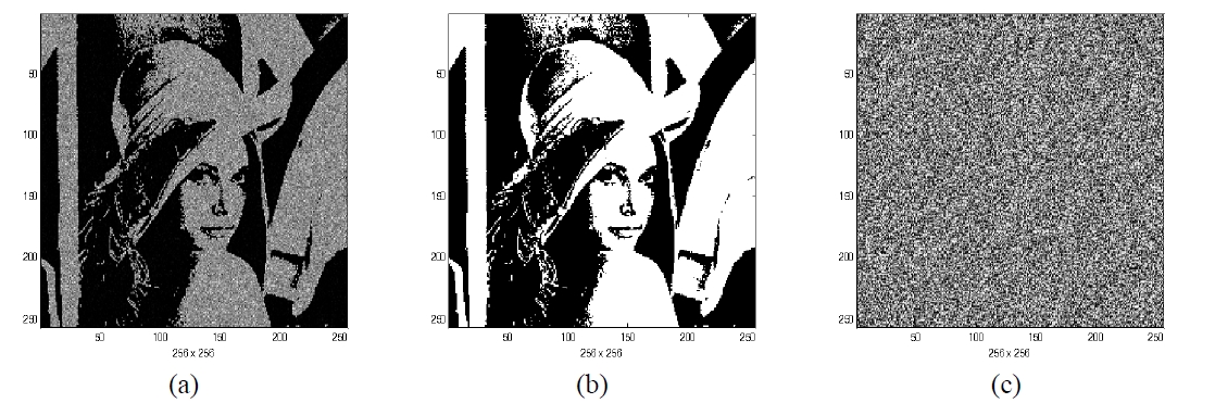 Result of decryption for the secret key1 shown in FIG. 3 (b) when the same common key is used: (a) a reconstructed image pattern by decryption process, (b) a decrypted binary image (Girl1) after binarization with the proper threshold value, (c) a phase map representation of the Fourier transform of the reconstructed the secret key1 by the reconstructed complex hologram1 and the common key.