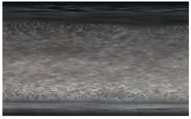 Image of the cell depletion layer obtained by highspeed camera.