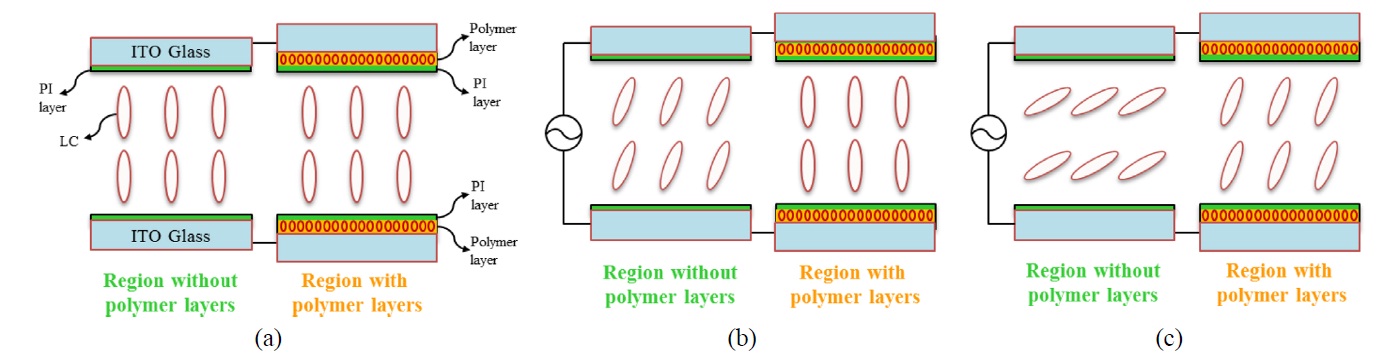 The optical configurations of the proposed VA cell: (a) in the initial state, (b) when the applied voltage is higher thanthe threshold voltage of the region without polymer layers but lower than that of the region with polymer layers, and (c) whenthe applied voltage is higher than the threshold voltage of the region with polymer layers.