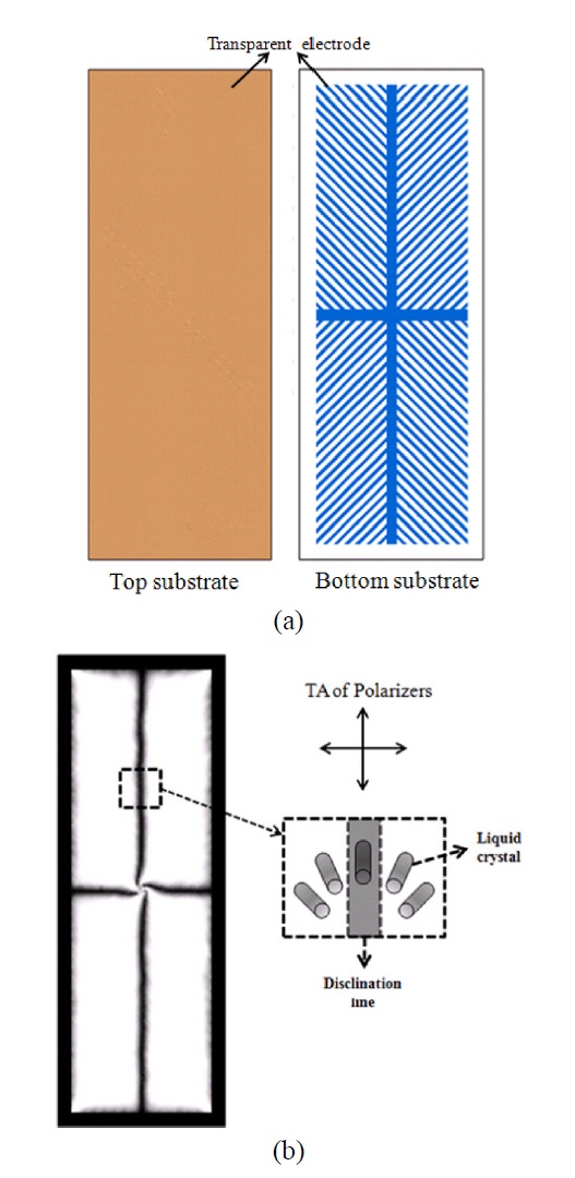 Top view images of top and bottom electrodes in a micro-patterned VA mode in (a) the dark state and (b) the bright state.