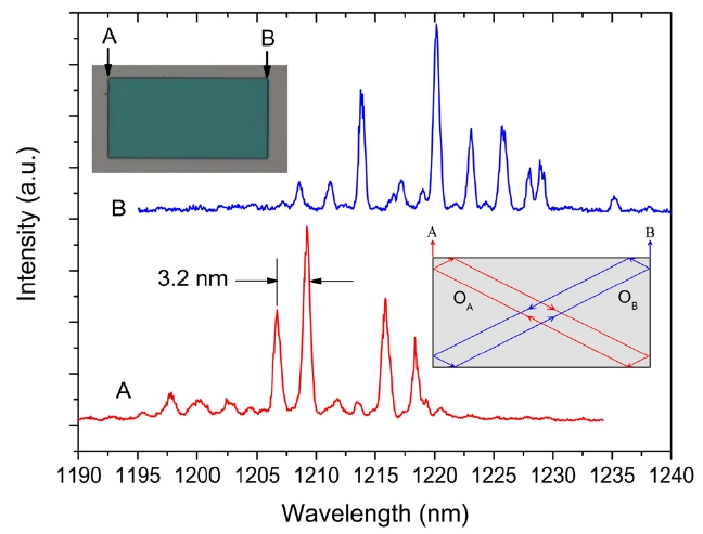 Lasing spectra measured from two adjacent corners of a rectangular cavity with a=30 μm and b=60 μm. The peak's positions and spectral envelopes appear different from each other.