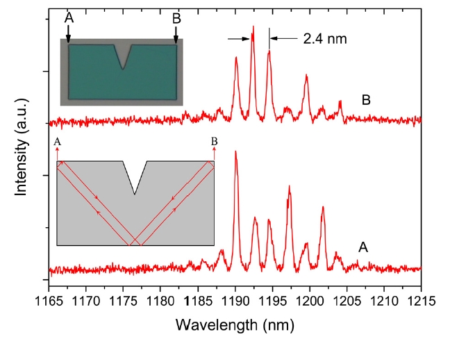 Lasing spectra measured from two adjacent corners of a grooved rectangular cavity with a=30 μm and b=60 μm. The lasing spectra show highly correlated patterns.