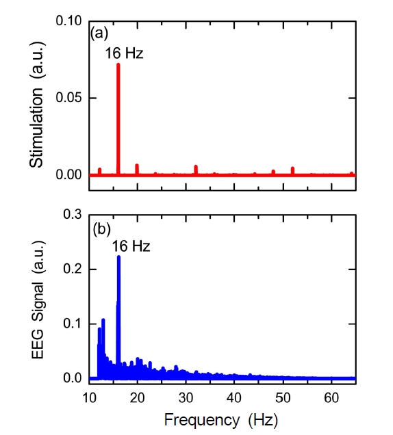 Measurement result of SSVEPs. FFT frequency spectra of (a) the flickering visual stimulation with a frequency of 16 Hz and (b) the simultaneously obtained brain waves.