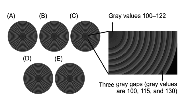 Grayscale masks for the Fresnel zone lenses with rings having gray level gradients of (A) 5, (B) 10, (C) 15, (D) 20, and (E) 25. (F) Detail of mask (C).