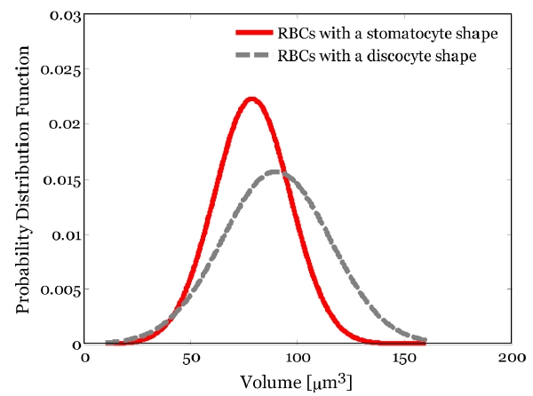 Statistical distributions of the 3D volume in C part for two typical shapes of RBCs. The solid line is RBCs having a stomatocyte shape. The dotted line is RBCs having a discocyte shape.