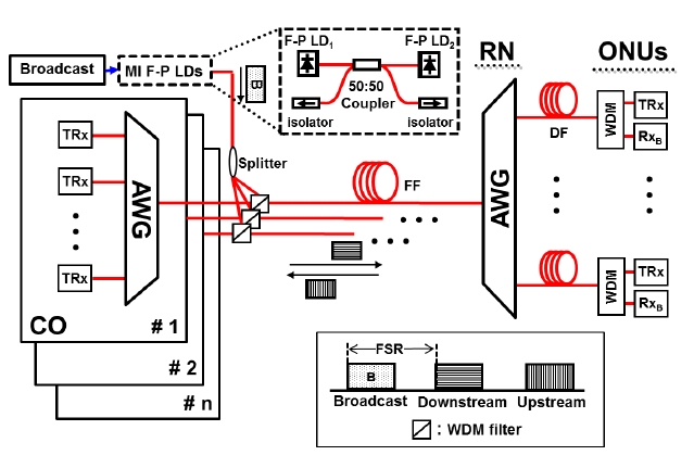 The schematic diagram for broadcasting signal transmission in WDM-PON.