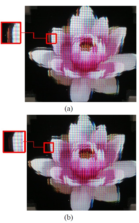 Experimental results of natural image: (a) conventional pickup method and (b) subpixel pickup method.