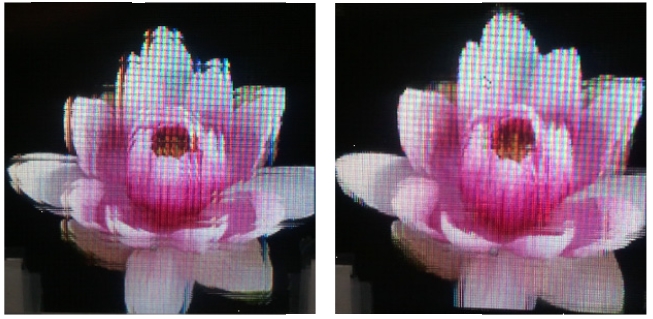 Experimental results of natural image: (a) with conventional pickup method and (b) with proposed subpixel pickup method.