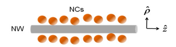 Schematic view of the system. NCs are located in the vicinity of silver nanowire. Cylindrical coordinates are used with z axis as the wire axis.