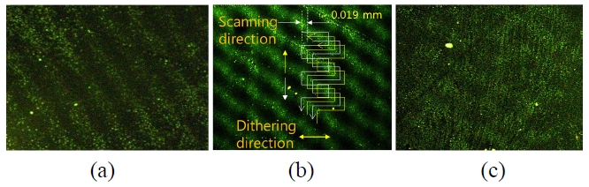 Fluorescence microscope images of OLED substrate when (a) sine wave, (b) square wave, and (c) saw tooth wave were applied to the acousto-optic modulator respectively.