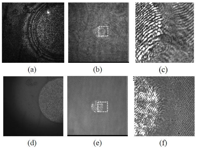 Image and holograms created using coherent (a), (b), (c) and partial coherence sources (d), (e), (f).