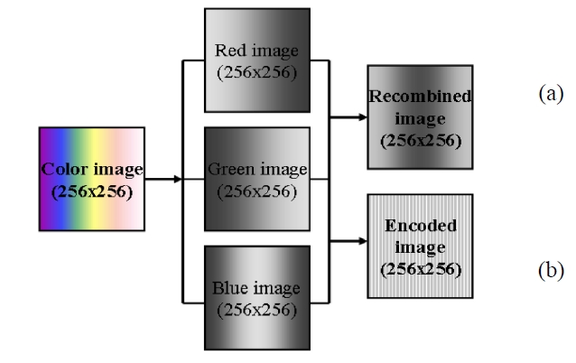 Two methods of obtaining the single gray input channel image ; (a) addition process (b) coding process.