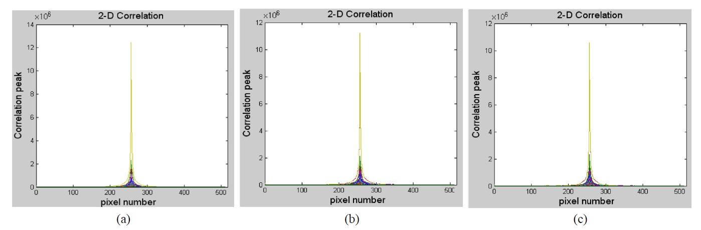 2-D diagram of the correlation peaks obtained from the fruit images shown on Fig. 6 ; (a) reference (b) sample 1 (c) sample 2.