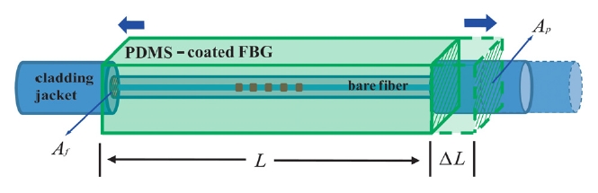 The schematic illustration of the PDMS-coated FBG sensor designed for enhancing temperature sensitivity by using thermal expansion effect of the PDMS jacket.