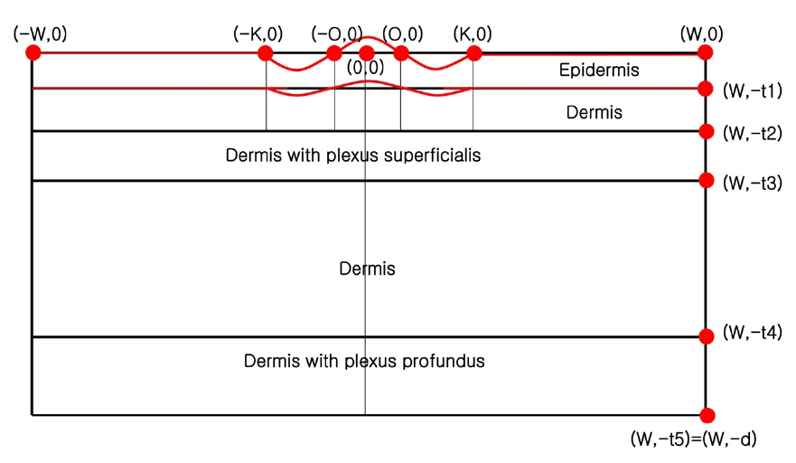 The comparison of the five-layer skin structure before (black line) and after deformation (red line on the surfaces of the first and second layers).
