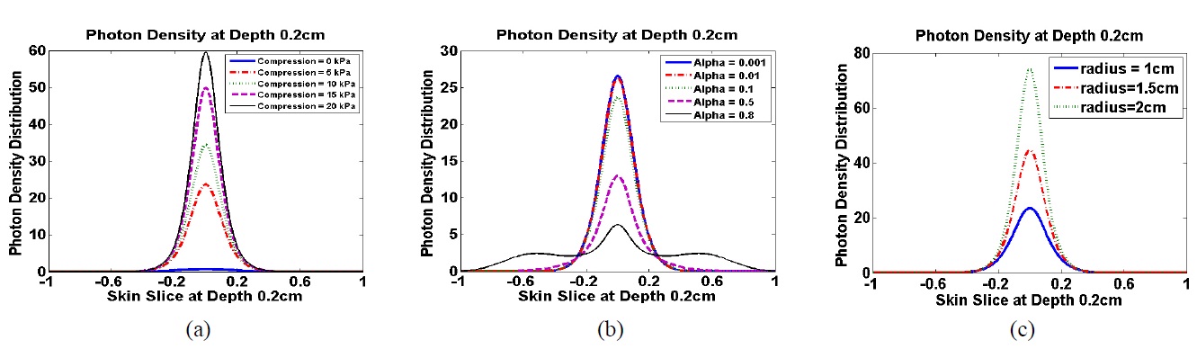 Photon density distribution at the base of the skin sample as a function of the (a) negative compression (α = 0.1, radius = 1 cm), (b) parameter α (radius = 1 cm, negative compression = 5 kPa), and (c) CCLLP radius (α = 0.1, negative compression = 5 kPa).