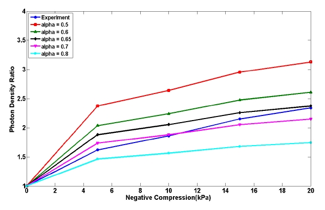 The comparison of experimental photon density ratios [11] and modeling results with respect to the various values of the optical coefficient modeling parameter α . The photon density ratio is defined as the ratio of the photon density distribution with negative compression (0, 5, 10, 15, or 20 kPa) to that without compression (0 kPa)