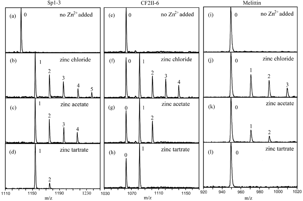 ESI mass spectra of three peptides recorded using different zinc ion sources in positive ion mode: first column, Sp1-3; second column, CF2II-6; third column, melittin. Peaks shown here represent a series of +3 ions: (M+3H)3+, (M+H+Zn2+)3+ , (M？H+2Zn2+)3+, (M？ 3H+3Zn3+)3+, (M？5H+4Zn2+)3+, and (M？7H+5Zn2+)3+. Numbers denoted close to peaks represent the number of zinc ions contained in the peak. Mass spectra in the first row were recorded in the absence of zinc salts. Spectra in the second to fourth rows were acquired in the presence of ZnCl2, Zn(CH3COO)2, and Zn(OOC(CHOH)2COO), respectively.