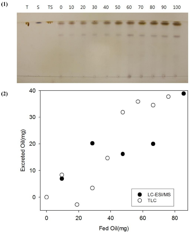 Thin layer chromatography of extracts of mouse feces and fur fed with from 0 to 90 μL of triolein solution containing Sudan IV at 2 mg/mL (1). T: triolein, S: Sudan IV and TS: Sudan IV dissolved in triolein at 2 mg/mL were used as controls. Quantification of excreted oils from mice fed with 0 to 90 μL of triolein by LC-ESI/MS (solid circles) and TLC (open circles) (2). For LC-ESI/MS, the mass of excreted diolein was converted and added to the corresponding triolen to calculate total excreted oil.