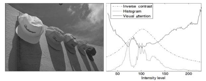 Relative value of visual attention (right) for Y component of ’caps’ image (left).