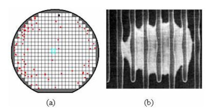 (a) Defect distribution map inspected by AIT in the product wafer and (b) scanning electron microscopy image of gate pattern bridging after bottom anti-reflective coating (BARC) etch by BARC defect.