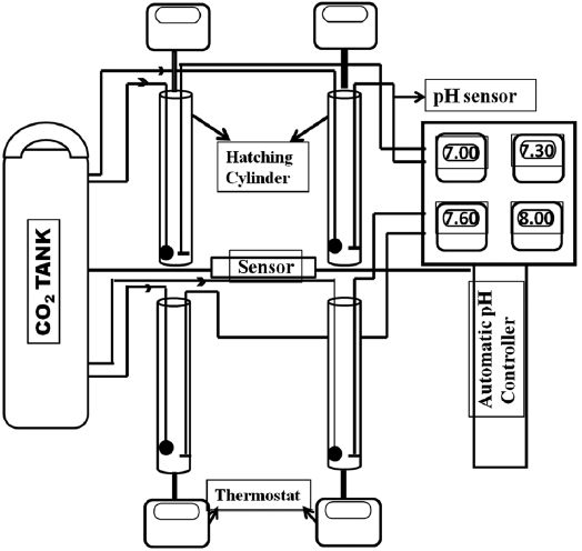 The flowchart of a CO2 controlling system. Location of sensor, thermostat and pH controller is indicated.