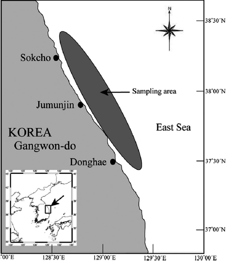 The sampling area of the Blackfin flounder Glytocephalus stelleri caught by the eastern sea Danish seine in the East Sea.