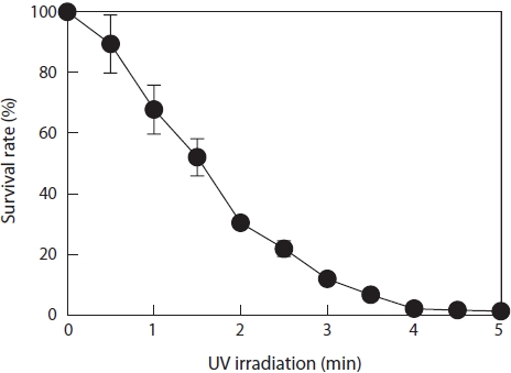Lethal time for parent monospores after UV irradiation using a germicidal lamp. A 30-W UV germicidal lamp was placed 20 cm above the monospores. The survival rate (%) of the irradiated spores against non-irradiated spores was calculated as the number of monospores regenerated in Provasoli’s enriched seawater. The data are expressed as the mean ± SE (n ≥ 3).