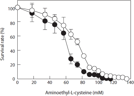 Dose-response curve of Porphyra suborbiculata monospores with the lysine analog aminoethyl-L-cysteine. Monospores of the parent strain (closed circles) and AEC-resistant strain L130 (open circles) were cultured in Provasoli’s enriched seawater (PES) containing different concentrations of AEC for one week and the regenerated monospores counted. The survival rate (%) was calculated against controls containing no AEC in PES. All data are expressed as the mean ± SE (n ≥ 3).