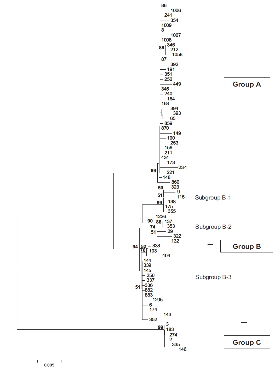 Molecular phylogenetic tree using the Neighbor-joining method inferred from 18S ribosomal DNA sequences of 71 Chlorella-like species. Tree reliability is tested by 2000 bootstraps, which indicates numbers (bold letters) at the nodes. Only values above 50% are shown.