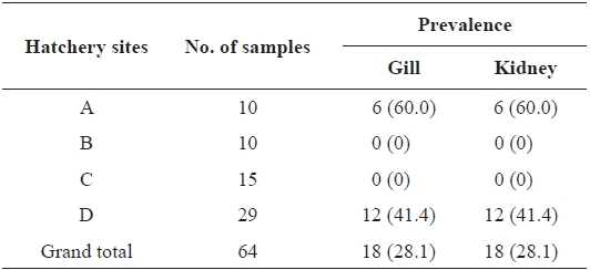 Prevalence of Flavobacterium johnsoniae in rainbow trout col-lected from four hatcheries in Gangwon Province, Korea