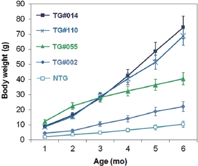 Growth characteristics of F1pmlectGH-transgenic lines of mud loach Misgurnus mizolepis with function of age up to 6 months. Vertical bars indicate standard deviations. Transgenic F1 lines TG#002 (◆), TG#014 (■), TG#055 (▲) and TG#110 (×) were named after the identification codes for transgenic founder males (see Table 2) and non-transgenic is denoted as NTG (□). Statistical separations of means at 6 months were TG#014/#110, TG#055, TG#002 and NTG based on ANOVA (P < 0.05).