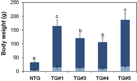 Weight gains during ages from 2 weeks (light blue) to 2 months (dark blue) in F1 autotransgenic carp strains and non-transgenic siblings (averaged from four non-transgenic crosses). Standard deviations were noted by T bars and the same letters on histograms indicate no significant difference as assessed by ANOVA at P = 0.05. NTG, non-transgenic; TG, transgenic.