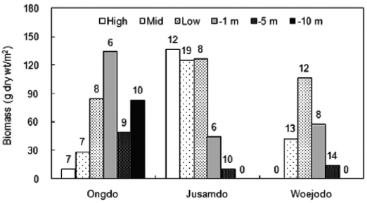 Vertical variations of seaweed biomass (g dry wt/m2 n = 5 rep-licates) and species number occurred on each shore levels of Ongdo Jusamdo and Woejodo Islands the Yellow Sea Korea.