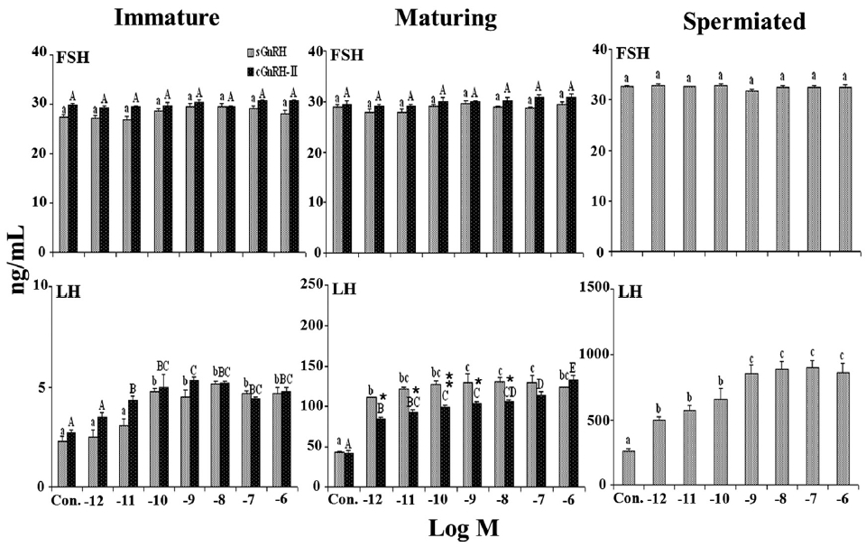 Effects of different concentrations of salmon-type GnRH (sGnRH) and chicken-II-type GnRH (cGnRH-II) on luteinizing hormone (LH) and follicle-stimulating hormone (FSH) release from cultured pituitary cells of immature maturing and spermiated male rainbow trout. Data are expressed as the mean±SEM (n=6). A significant difference (P < 0.05) was observed between columns indicated by different letters. *and ** indicated the levels of significant differences at P <0.01 and P < 0.001 respectively between sGnRH- and cGnRH-II-stimulated LH release in each group.