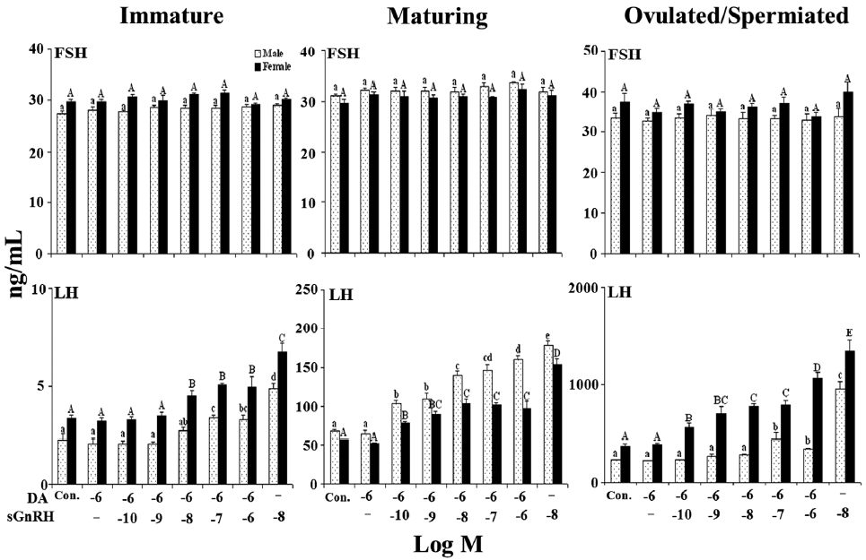 Effects of dopamine (DA) on luteinizing hormone (LH) and follicle-stimulating hormone (FSH) release by salmon-type GnRH (sGnRH 10-8M) from cultured pituitary cells at different reproductive stages. Data are expressed as the mean±SEM (n=6). A significant difference (P <0.05) was observed between columns indicated by different letters.