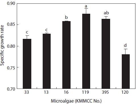 Specific growth rate of six microalgal species at 15 psu 25℃ 100 ㎛ol m-2 s-1 (KMMCC Korea Marine Microalgae Culture Center; KMMCC-33 Nannochloropsis sp.; KMMCC-13 N. oceanic; KMMCC-16 Nannochoris oculata; KMMCC-119 Nannochoris sp.; KMMCC-395 Nannochoris sp.; KMMCC-120 Chlorella vulgaris). Different letters on the bar mean significantly difference (P < 0.05).