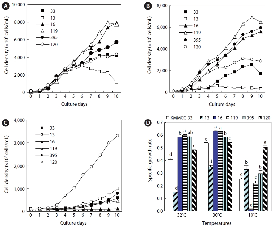 Cell density of six microalgal species at 30℃ (A) 32℃ (B) and 10℃ (C) and specific growth rate (D) under 15 psu and 100 ㎛ol m-2 s-1 (KMMCC Korea Marine Microalgae Culture Center; KMMCC-33 Nannochloropsis sp.; KMMCC-13 N. oceanic; KMMCC-16 Nannochoris oculata; KMMCC-119 Nannochoris sp.; KMMCC-395 Nannochoris sp.; KMMCC-120 Chlorella vulgaris). Different letters on the bar in each temperature mean significantly difference (P < 0.05).