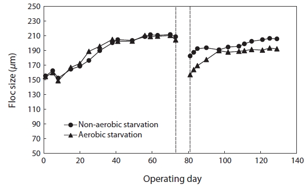 Effect of aerobic/non-aerobic starvation on floc size.