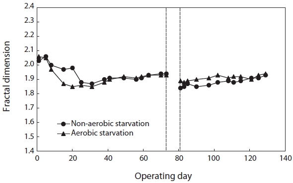 Effect of aerobic/non-aerobic starvation on fractal dimension.