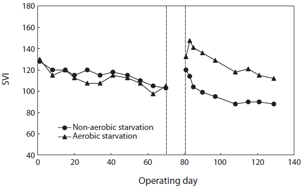 Effect of aerobic/non-aerobic starvation on sludge settleability. SVI: sludge volume index.