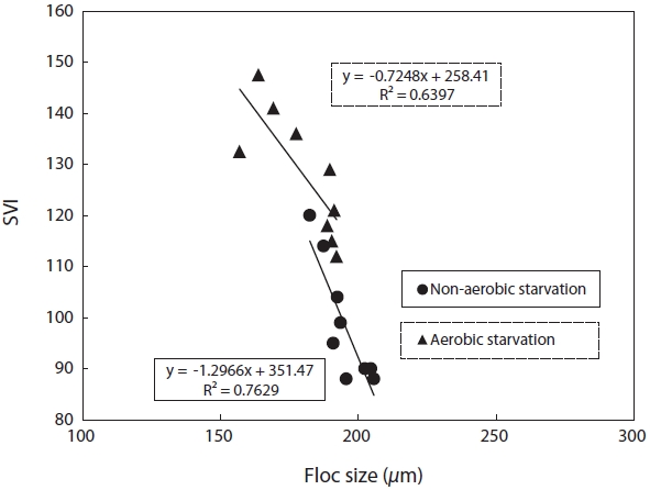 Relationship between floc size and sludge volume index (SVI) for aerobic/non-aerobic starvation.